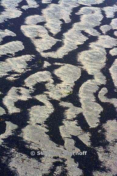 underwater pattern 15 graphic